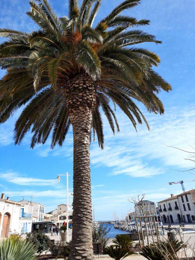 Appartement De Charme Sur Le Port De Marseillan エクステリア 写真