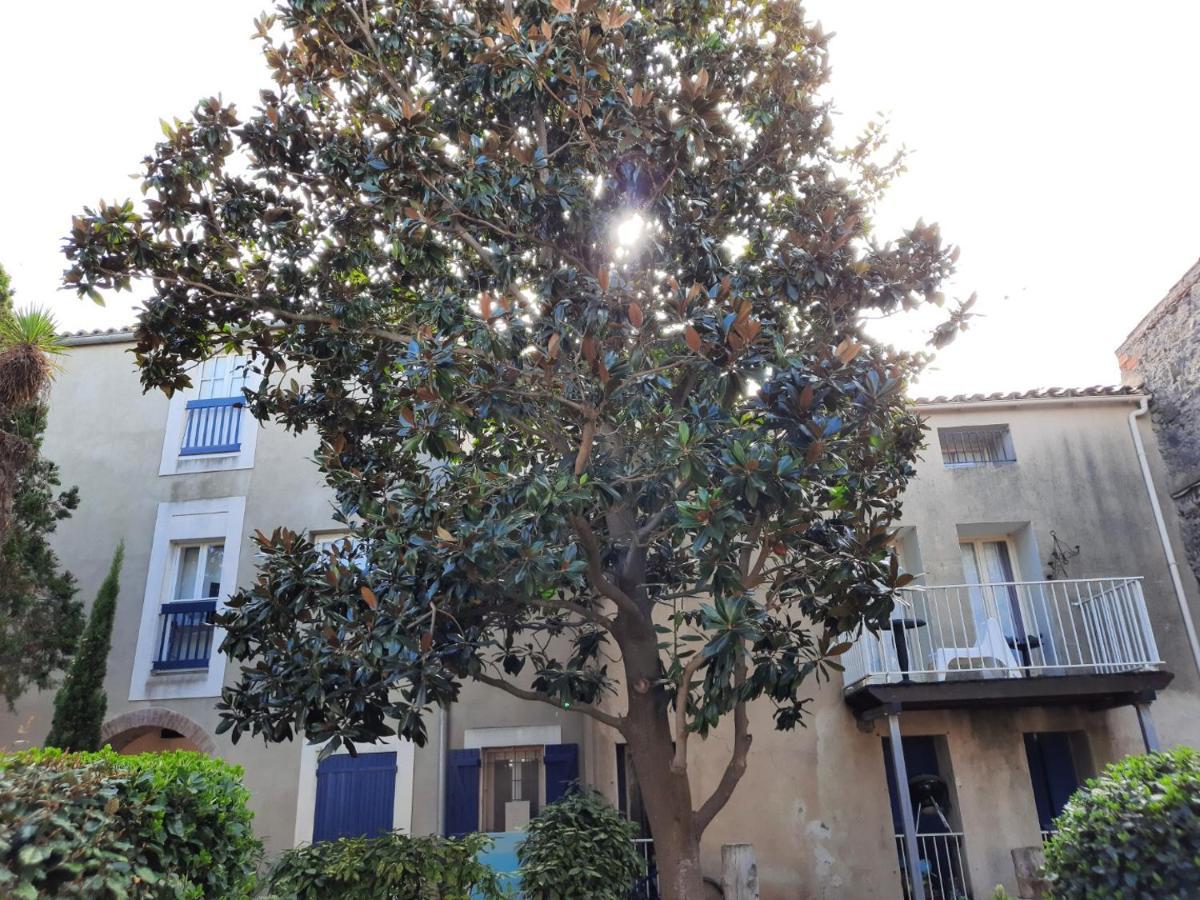 Appartement De Charme Sur Le Port De Marseillan エクステリア 写真